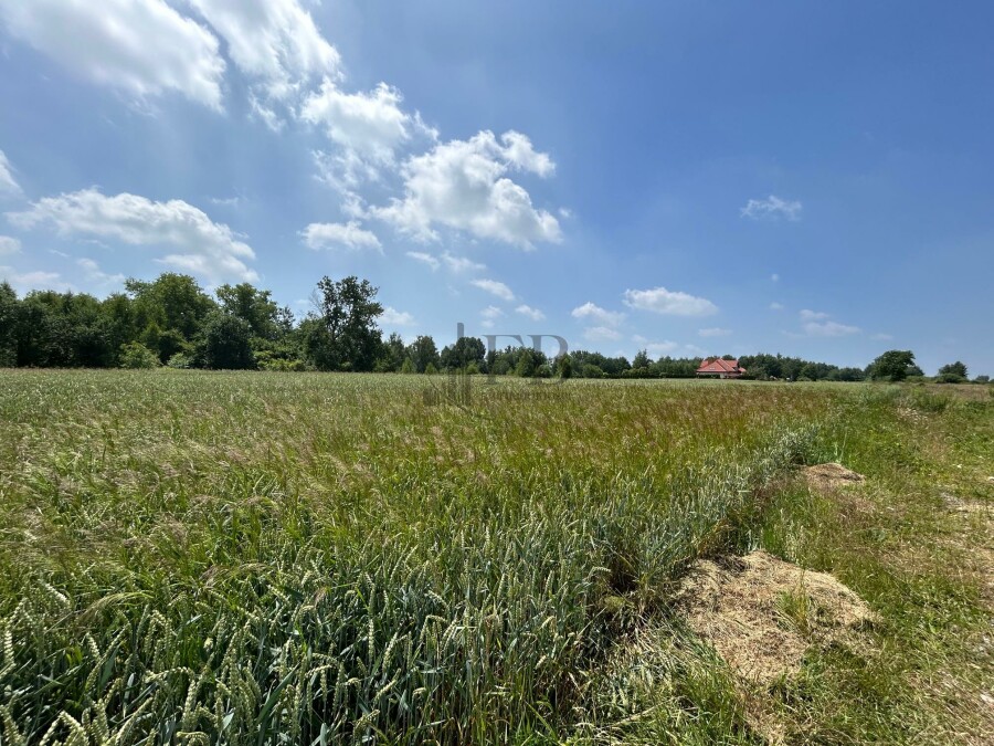 lubelski, Konopnica, Konopnica, Działka na sprzedaż