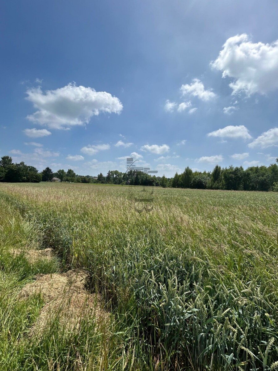 lubelski, Konopnica, Konopnica, Działka na sprzedaż